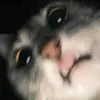 Syntia Ana Marie - @dexieabraham17 - TikTok