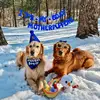 Winston Beau & Dixie Magnolia - @becauseofwinndixie__ - TikTok