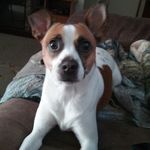Dixie Margaret Arnold - @dixiemargret - Instagram