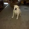 Dixie Bailey - @dixie.bailey65 - TikTok