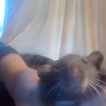 Dixie Baker - @wfqxuf438023 - Instagram