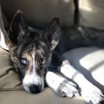 Dixie Baker - @dixiebakermason - Instagram