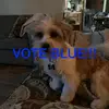 Dixie Baker - @dixiebaker - TikTok