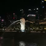 Dixie Barber - @barbermove - Instagram