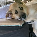 Dixie & Danny Barnes - @danny_dixie_barnes - Instagram