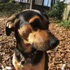 dixie._belle - @dixie._belle - TikTok