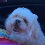 Dixie Belle Conway - @dixiebelleconway - Instagram