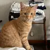 Dixie Bennett - @dixie.bennett1 - TikTok