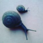 Dixie - @dixie_booth - Instagram