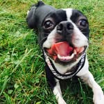 DixiePixie - @dixiepixie_theboston - Instagram