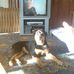 Dixie Bray - Facebook
