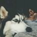 Dixie Bryan - Facebook