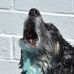 Dixie Bryant - Facebook