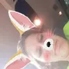 Dixie Campbell - @dixie.campbell7 - TikTok
