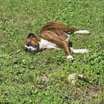Dixie Campbell - @dixie.campbell.735 - Instagram