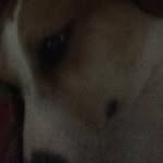 Dixie Marie Campbell - @dixie_marie_is_awesome - Instagram