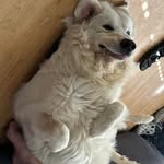 Dixie Plotts Campbell - @dxylee - Instagram