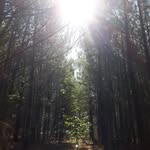 Dixie Conner - @dixie_conner03 - Instagram