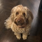 Dixie Cunningham - @dixie.the.favorite.cunningham - Instagram