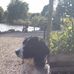 Dixie Cunningham - Facebook