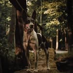 Amanda De Jonge - @dixiedeckerlineratterrier - Instagram
