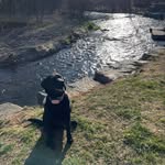 @dixie__delight - Instagram