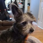Dixie Ann DeLight - @dixieann_delight - Instagram