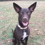 Dixie Aukamp - @dixie__land__delight - Instagram