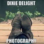 Dixie Delight Photography - @dixiedelightphotography - Instagram