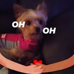 Dixie Dixon - @dixie4019 - Instagram