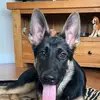 user5135467082571 - @dixiedyer - TikTok