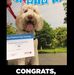 Dixie Faulkner - Facebook