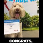 Dixie Faulkner - @faulknerdixie - Instagram