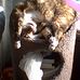 Dixie Rich Faulkner - Facebook
