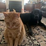dixie and nene floyd - @dixiendnene - Instagram