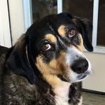 Dixie Annabell Floyd - @dixie_my_babygirl - Instagram
