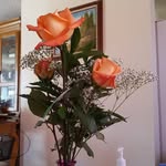 Dixie Graham - @reneegraham355 - Instagram