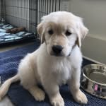 Dixie Graham - @dixie.of.dallas - Instagram