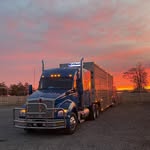 Dixie Grove Farms - @dixie_grove_farms - Instagram