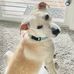 Dixie Grover - Facebook