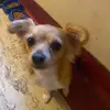 dixiehale9 - @dixiehale9 - TikTok