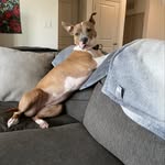 Dixie Mae Harris - @dixiemaeharris - Instagram