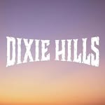 Banda Dixie Hills - @dixiehills - Instagram