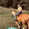 dixie 🃏⚡️🪶 - @dixie.howell1 - TikTok