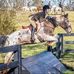 Dixie Howell - Facebook