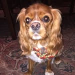 Dixie Jackson - @dixieland_delight1 - Instagram