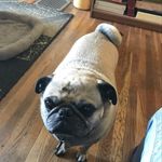Dixie Jackson - @memadixie3 - Instagram