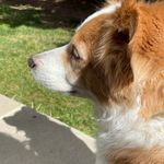 Dixie - @dixie_kelleyyy - Instagram