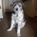 Dixie Kent - Facebook