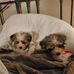 Dixie Kent - Facebook
